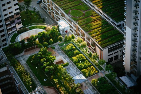 Sedumdak detail: hoe is de opbouw van een groen dak precies opgebouwd?